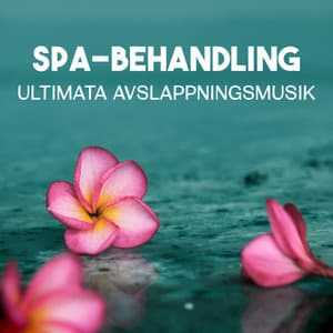 Spa-Behandling - Ultimata avslappningsmusik, helande stunder, touch av reiki, naturlig oas av skönhet - Lugn Spa Akademi