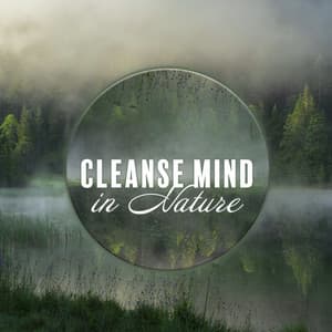 Cleanse Mind in Nature: Soothing Nature Music Ambience - Kings of Nature