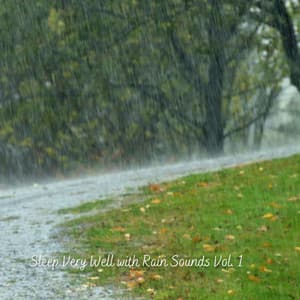 Sleep Very Well with Rain Sounds Vol. 1 - Summer Showers
