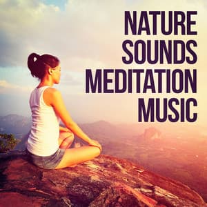 Nature Sounds Meditation Music - Soothing Music for Sleep Academy