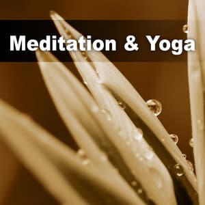 Meditation & Yoga – Massage Music, Reiki, Harmony Yoga, Relaxation Songs - Corepower Yoga Music Zone