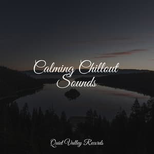 Calming Chillout Sounds - Crying & Colic Relief