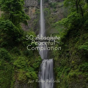50 Absolute Peaceful Compilation - Soothing Sounds