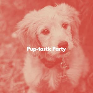 Pup-tastic Party - Musica per Studiare