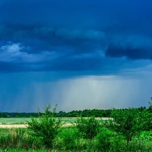 1 Hour of Static: Neural Rainfall - White Noise Therapy