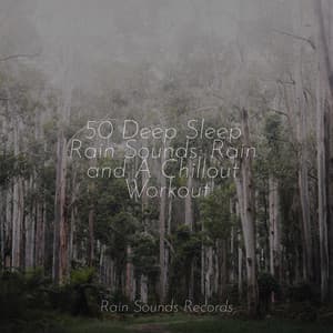 50 Deep Sleep Rain Sounds: Rain and A Chillout Workout - Meditation Rain Sounds