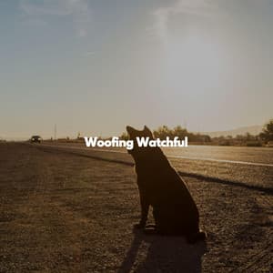 Woofing Watchful - Cool Jazz Relaxation Radio