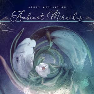 Ambient Miracles - Study Motivation