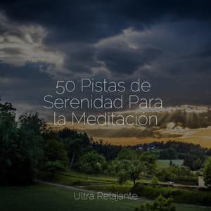 50 Pistas de Serenidad Para la Meditación - Meditação Yoga