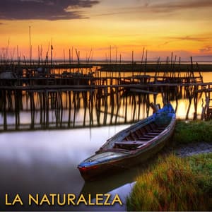 La Naturaleza - Sonidos del Mar y Sonidos de Animales para Relajarse - Naturaleza Ensemble