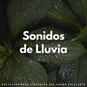 Sonidos De Lluvia: Restauradoras Sinfonías Del Sueño Relajante - Sueño Sonidos Lluvia