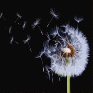 Soothing Winds of Change - White Noise Alternative