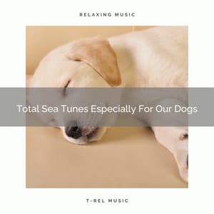 Total Sea Tunes Especially For Our Dogs - Dog Total Relax