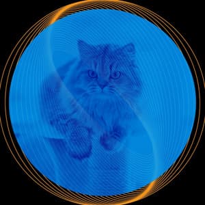 Ambiance for Friendly Cats - Cat Total Relax