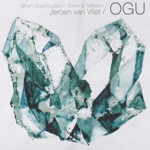 OGU - Jeroen Van Vliet