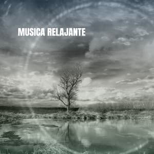 Musica Relajante - Studying Music Group