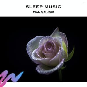 Sleep Music Piano Music - Study Radiance