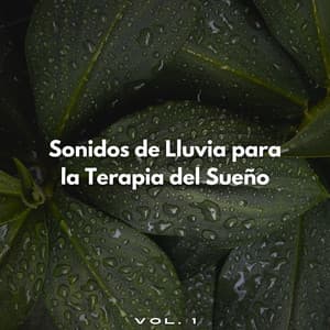 Sonidos De Lluvia Para La Terapia Del Sueño Vol. 1 - Lluvia Para Dormir Mejor
