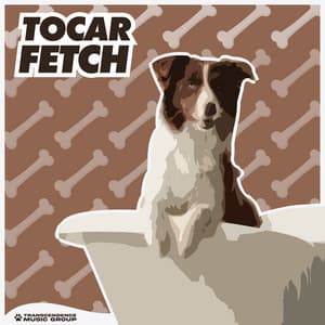 Tocar Fetch - Música Para Cães Adormecidos