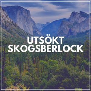 Utsökt Skogsberlock - Naturljud