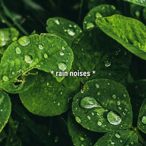 * rain noises * - Sound Effects Library
