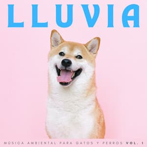Lluvia: Música Ambiental Para Gatos Y Perros Vol. 1 - Música de día lluvioso