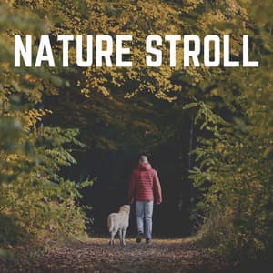 Nature Stroll - Essential Nature Sounds