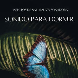 Insectos De Naturaleza Soñadora: Sonido Para Dormir - Grillos nocturnos