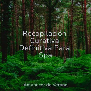 Recopilación Curativa Definitiva Para Spa - Meditación Maestro