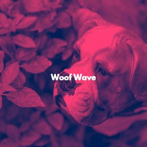 Woof Wave - Música Tranquila para Cantinas