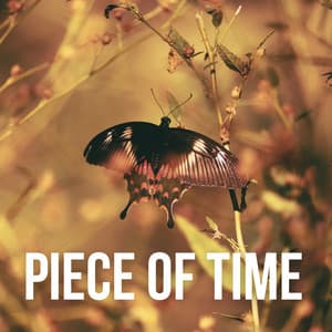 Piece of Time - Lily's Corner