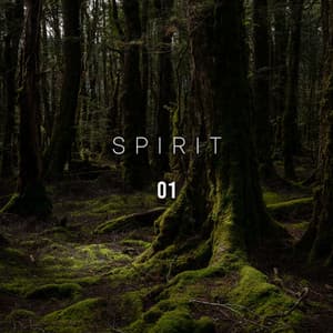 Spirit 01 - Rain Recordings