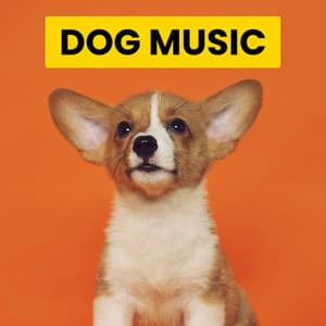 Dog Sleeping Music - Calming for Dogs
