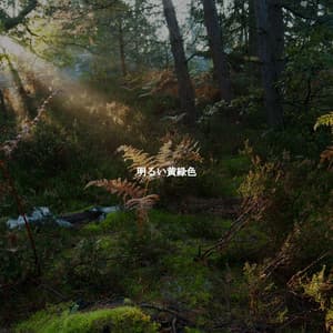 明るい黄緑色 - Cafe Smooth Jazz Radio