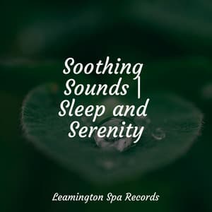 Soothing Sounds | Sleep and Serenity - meditacou musica ambiente