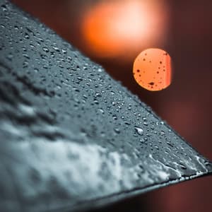 24Hr Rain: Peaceful Showers - 24H Rain Sounds