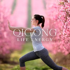 Qigong Life Energy: Chinese Medicine for Focus & Mindful Being - Tao Te Ching Music Zone
