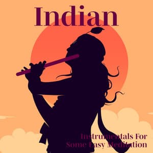 Indian Instrumentals For Some Easy Meditation - Janav Das