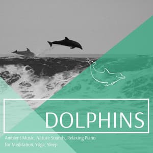 Dolphins: Ambient Music, Nature Sounds, Relaxing Piano for Meditation, Yoga, Sleep - Soundscapes