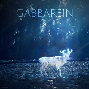 Gabbarein - Christopher Bono