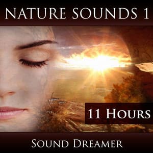 Nature Sounds 1 - 11 Hours - Sound Dreamer