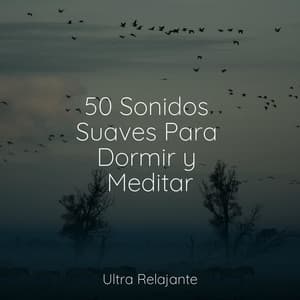 50 Sonidos Suaves Para Dormir y Meditar - Musica Relajante Piano Master