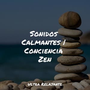 Sonidos Calmantes | Conciencia Zen - Piano para Dormir