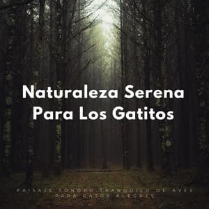 Naturaleza Serena Para Los Gatitos: Paisaje Sonoro Tranquilo De Aves Para Gatos Alegres - Sonidos de pájaros suecos