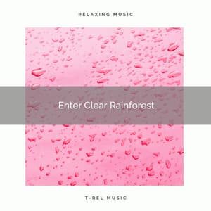 ! ! ! ! ! ! Enter Clear Rainforest - Ambient Rain