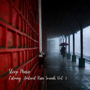 Sleep Music: Calming Ambient Rain Sounds Vol. 1 - Sleep Time