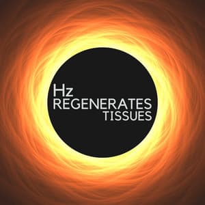 Ultimate Tracks For Moments of Zen - Hz Regenerates Tissues