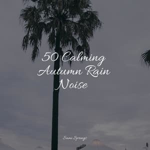 50 Calming Autumn Rain Noise - Study Music