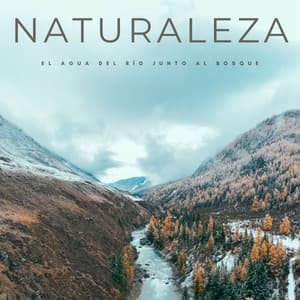 Naturaleza: El Agua Del Río Junto Al Bosque - Ruidos de la Selva