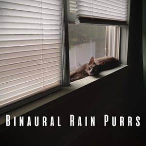 Binaural Rain Purrs: Music for Cats - Otoacoustic Emissions